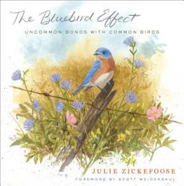 The Bluebird Effect, by Julie Zickefoose