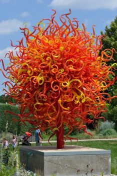 Chihuly_DBG-CO_LAH_9664-001