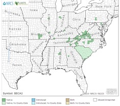 American Barberry map